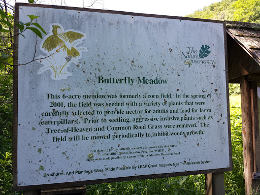 Butterfly Meadow @ Sunny Valley Nature Preserve