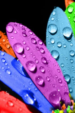 cool-patterns-backgrounds for android screenshot