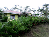 Casa En Quinta Cerca Del Volcan Arenal
