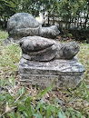 Ancient Turtle Relics