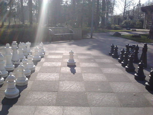 Großes Schachspielfeld
