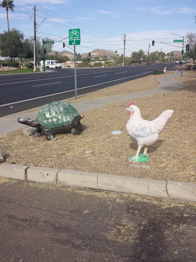 The Rooster and Turtle