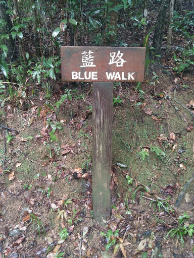 Tai Po Kau Blue Walk