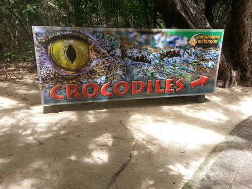 Crocodiles Sign