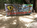 Crocodiles Sign
