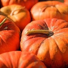 Pumpkin Soup