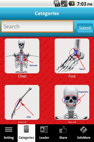 3D Skeletal System LITE