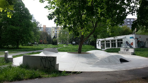 Skateboard Field