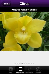 How to install Cymbi Centre lastet apk for laptop