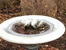 Doves In Fountain