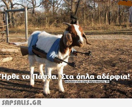 ρθε το a. Στα όπλα αδέρφια 
