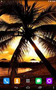 How to install Palm Live Wallpaper 1.1.1 unlimited apk for android