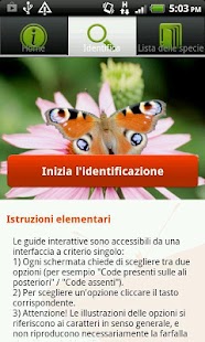 How to mod Farfalle Foreste Casentinesi patch 1.0 apk for bluestacks