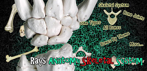 Rays Anatomy Skeletal System -  apk apps