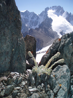 �� ��������