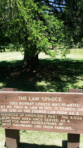 The Law Spruce