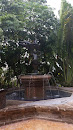 Front Fountain at the Ritz Carlton 