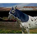 Pescuecera De Gabardina Para Caballo