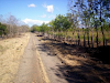 $200000  Farm Of 68 Hectares Montano Bagaces