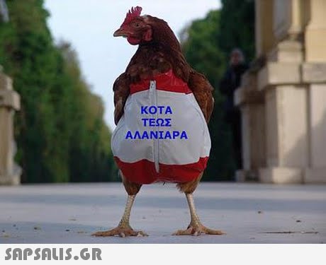 KOTA ΤΕΩΣ A ΛΑΝΙΑΡ A 