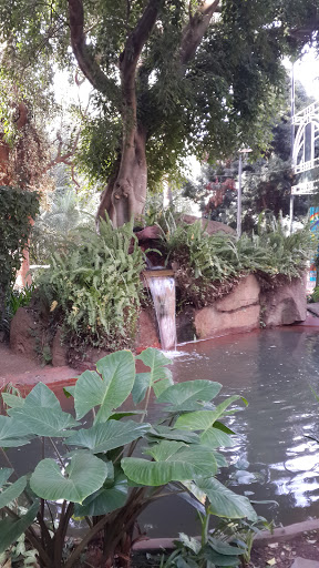 RAS Fountain And Shrubbery