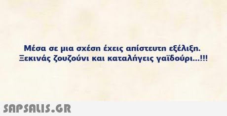 Μέσα σε μια σχέση έχεις απίστευτη εξέλιξη. Ξεκινάς ζουζούνι και καταλήγεις γαϊδούρι !