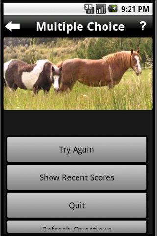 【免費教育App】Pony Lessons Quiz-APP點子