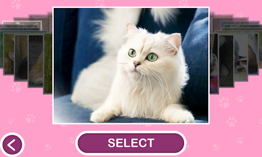 How to mod Cats - Jigsaw Puzzles 1.14.0 mod apk for laptop