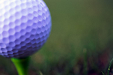 Bolsa De Palos De Golf Marca Dunlop
