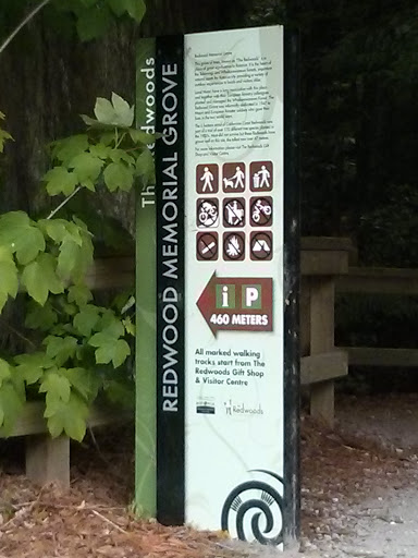 Redwood Memorial Grove