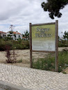 Parque Dos Pinheiros 