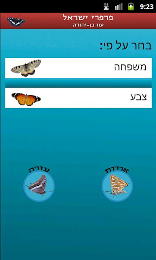 Butterflies of Israel