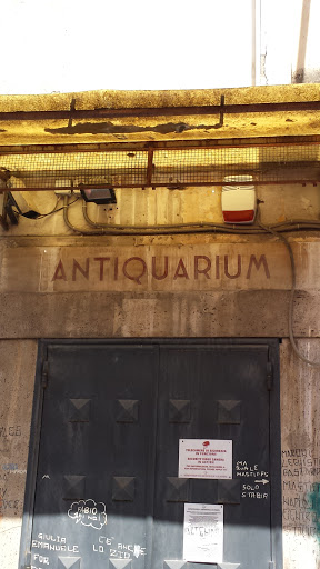 Antiquarium Stabia
