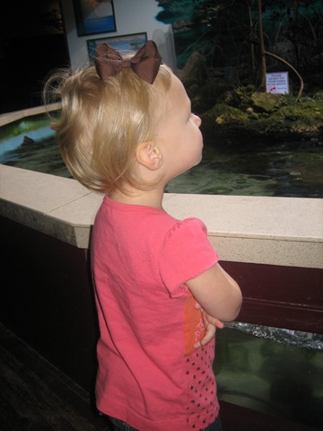 [20081003_0116[3].jpg]
