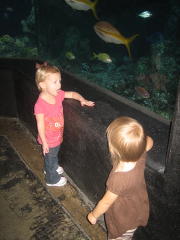 [20081003_0128[4].jpg]