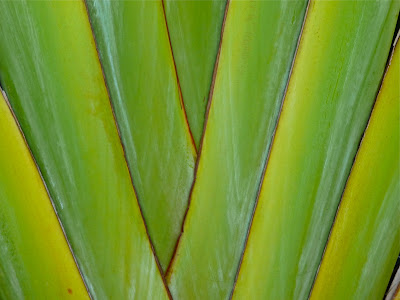 Help Image 1