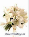 Wedding Planner Picaderas Y Mas
