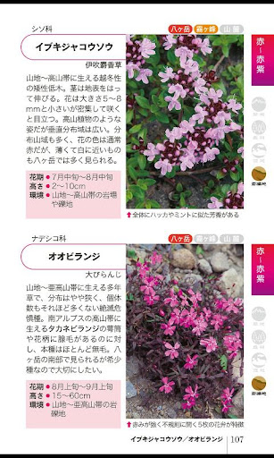 【免費書籍App】八ヶ岳・霧ヶ峰植物手帳-APP點子