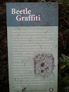 Beetle Graffiti