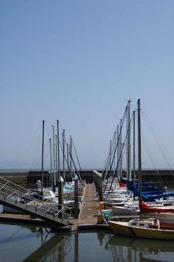 SPMarina1.jpg