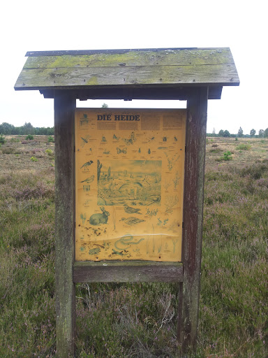 Info-Tafel Heide