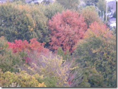 2008_10130084