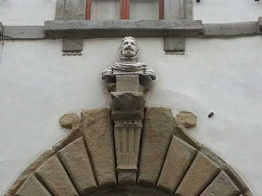 Busto di Cosimo II, Palazzo Alberti