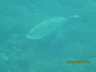 Help Image 2