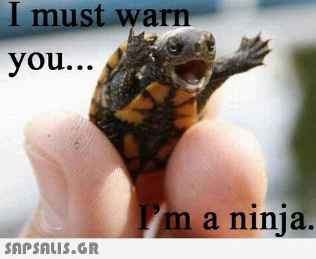 l must warn you... m a ninja. 