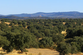 bajada