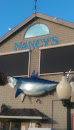 Shark At Nancy's
