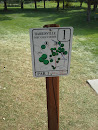 Harrisville Disc Golf Hole 1