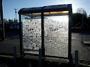 Bus Stop Shelter Glass