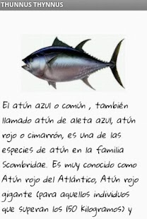 How to install Peces de Cadiz patch 1.3 apk for laptop